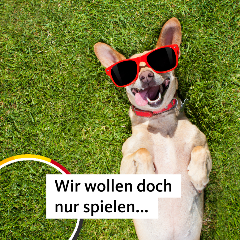 CDU Varel begrüßt Start der Arbeiten an Hundefreilauffläche