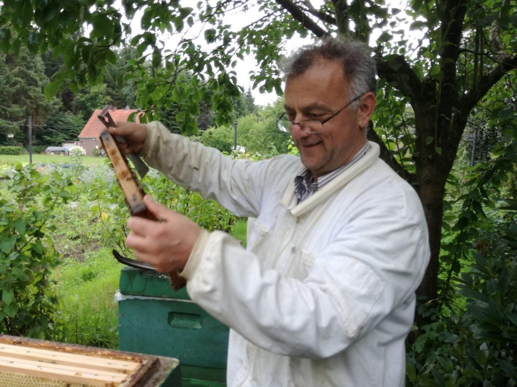 Meine Meinung: „Plötzlich waren sie da: Arbeiter mit Bagger und Motorsägen.“  Von Amir Hajikhodaverdi Khan