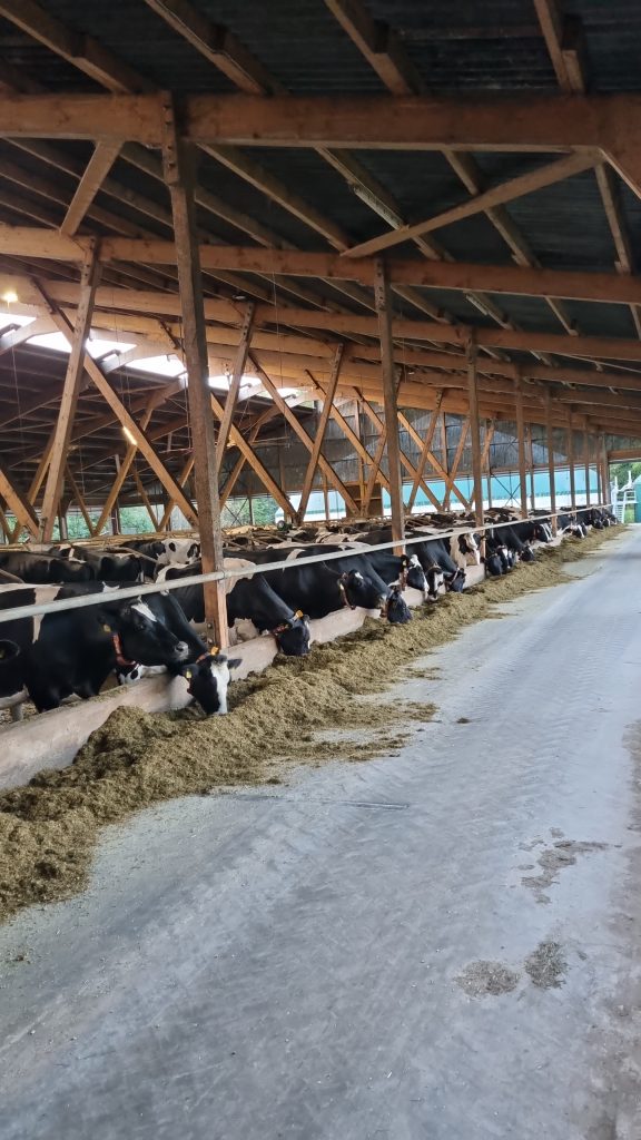 CDU Varel beeindruckt von Kaper-Hofbesichtigung