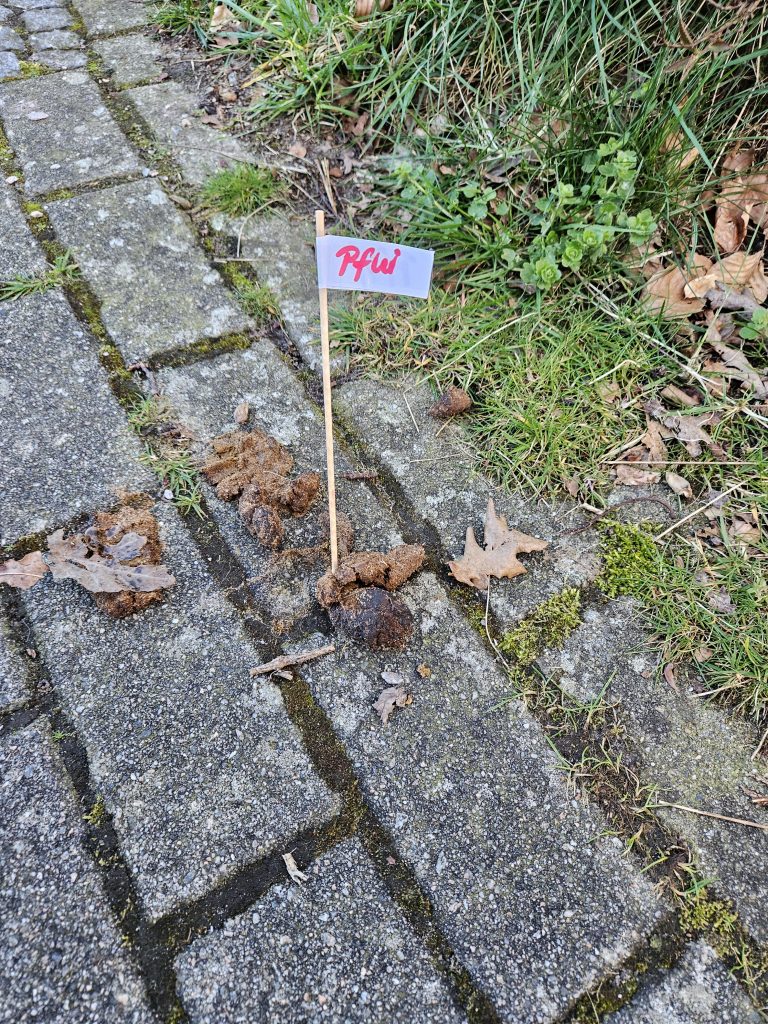 CDU-Antrag auf Hundekotbeutelspender umgesetzt